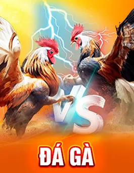 đá gà okfun